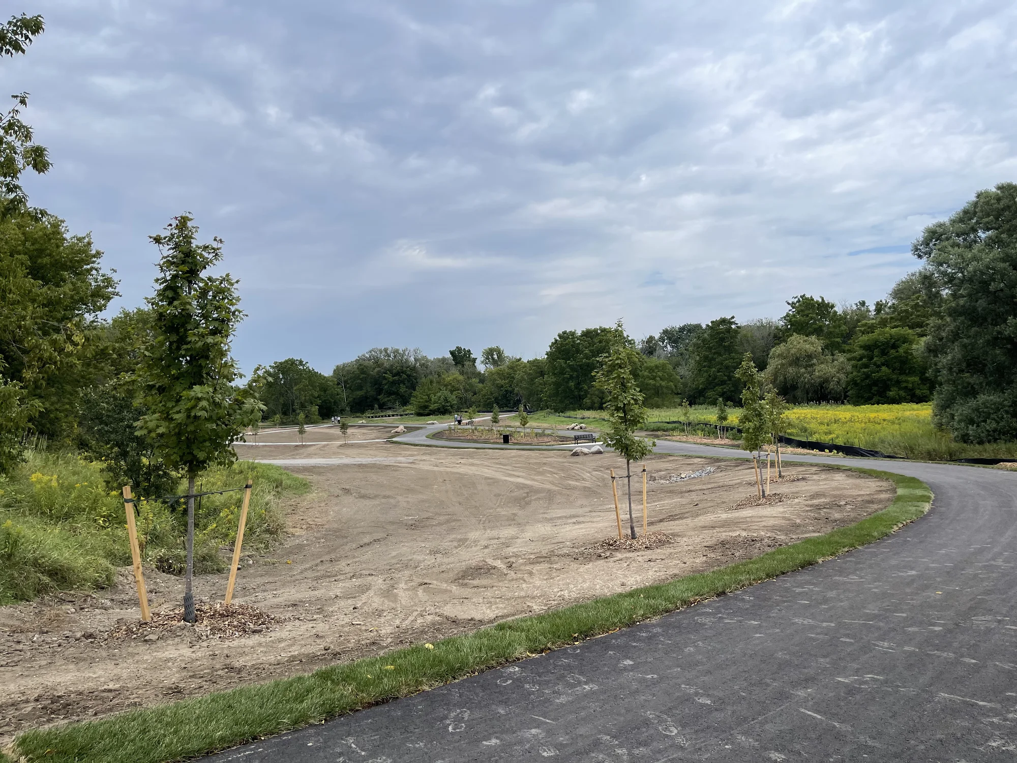 Newly planted trees and winding paths in a developing green space